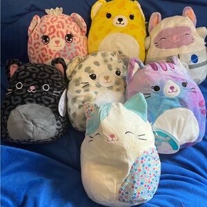 Squishmallows cat Multicolor Plush Toy Collection